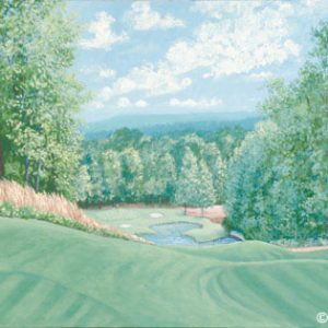 Hole 14